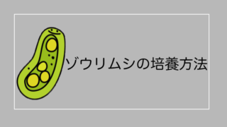 メダカ飼育に使える大磯砂 南国砂 はかなりオススメです メダカマーチング メダカ飼育に使える大磯砂 南国砂 はかなりオススメです メダカマーチング
